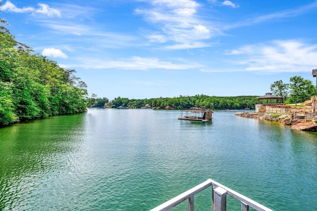 property view of water with a boat dock