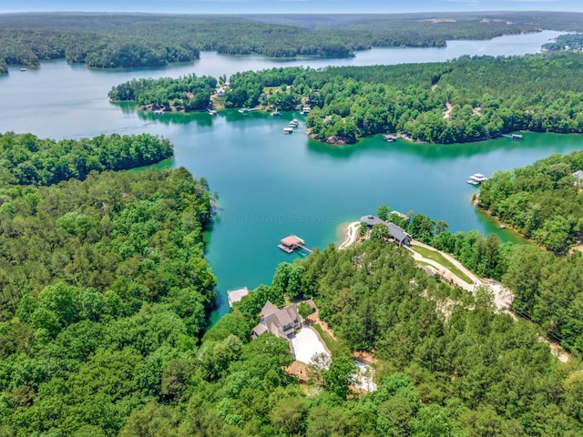 bird's eye view with a water view and a view of trees