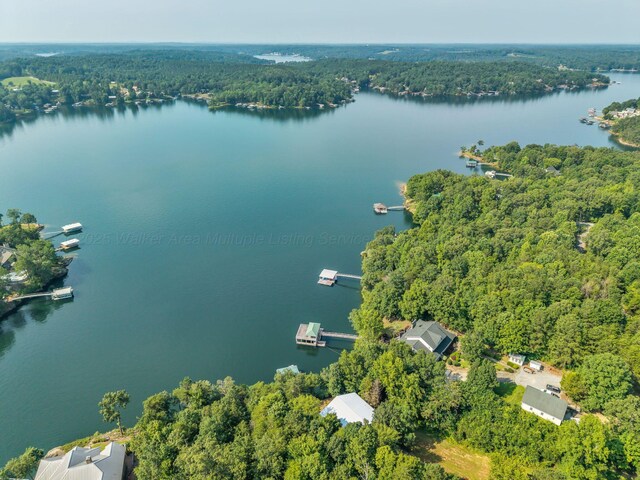 653 County Road 3938, Arley, AL 35541 - photo 41