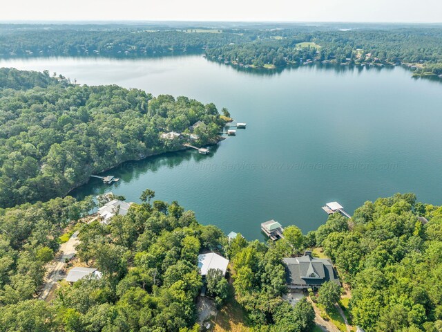 653 County Road 3938, Arley, AL 35541 - photo 3