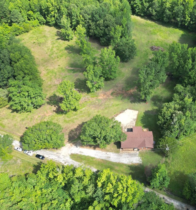 330 Tyree Rd, Brilliant, AL 35548 - photo 5