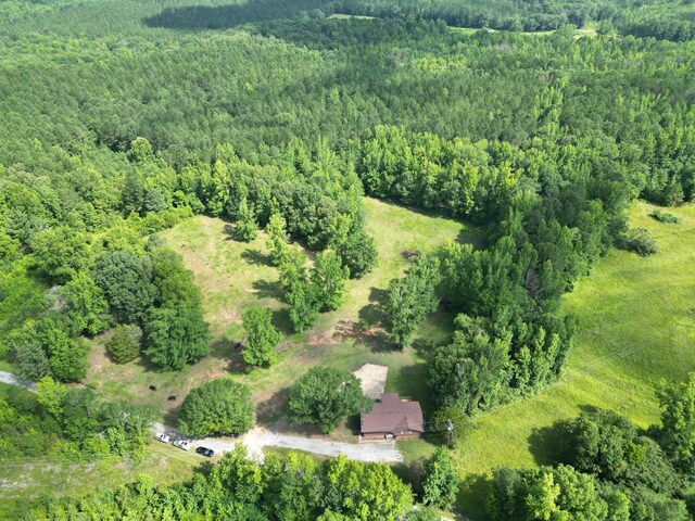 330 Tyree Rd, Brilliant, AL 35548 - photo 6