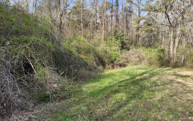 Carnation Dr, Hamilton, AL 35570 - photo 3