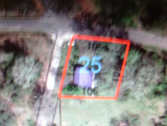 2665 Holly Rd, Jasper, AL 35501 - map location