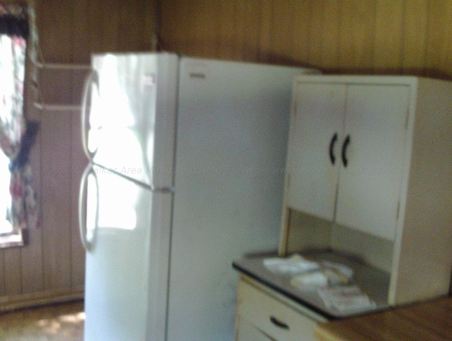 2665 Holly Rd, Jasper, AL 35501 - kitchen with a wealth of natural light, white cabinets, and freestanding refrigerator