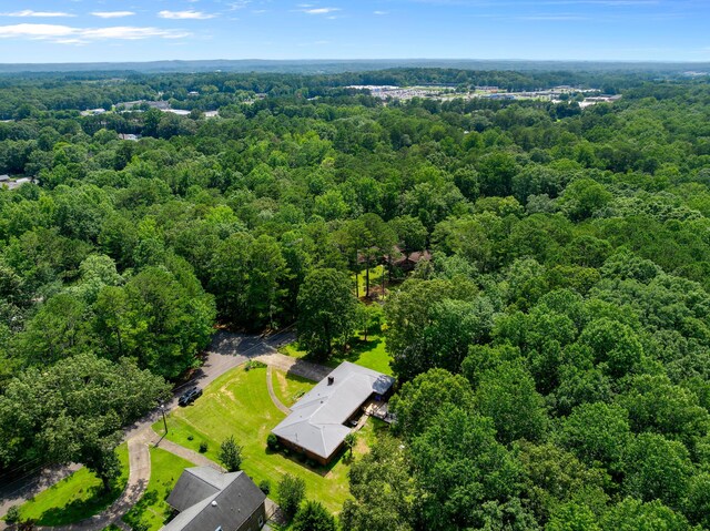 2809 Wildwood Dr, Jasper, AL 35504 - photo 49