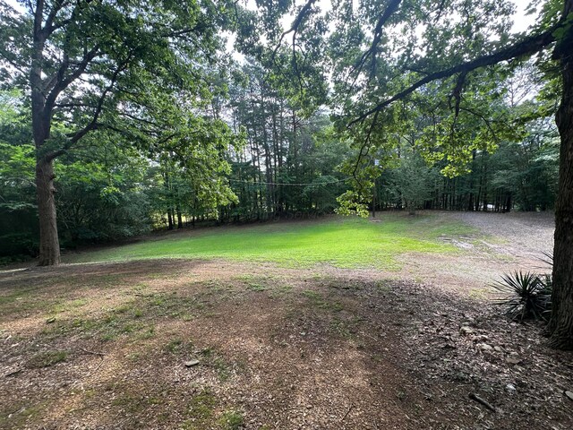 47 Hyche Rd, Cordova, AL 35550 - view of yard featuring a view of trees