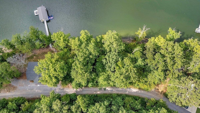 272 Northpointe Dr, Arley, AL 35541 - photo 5