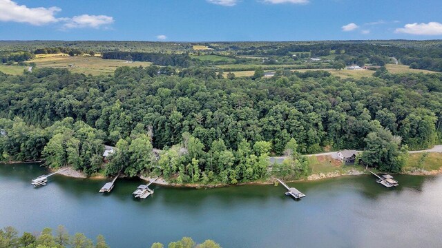 272 Northpointe Dr, Arley, AL 35541 - photo 6