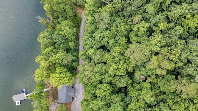 272 Northpointe Dr, Arley, AL 35541 - photo 9