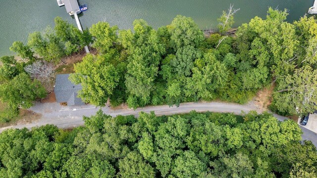 272 Northpointe Dr, Arley, AL 35541 - photo 2