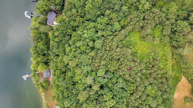 272 Northpointe Dr, Arley, AL 35541 - photo 10