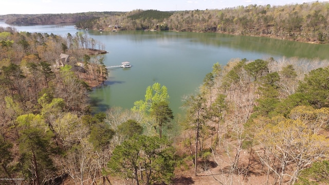 LOT25 Pelican Dr, Arley, AL 35540