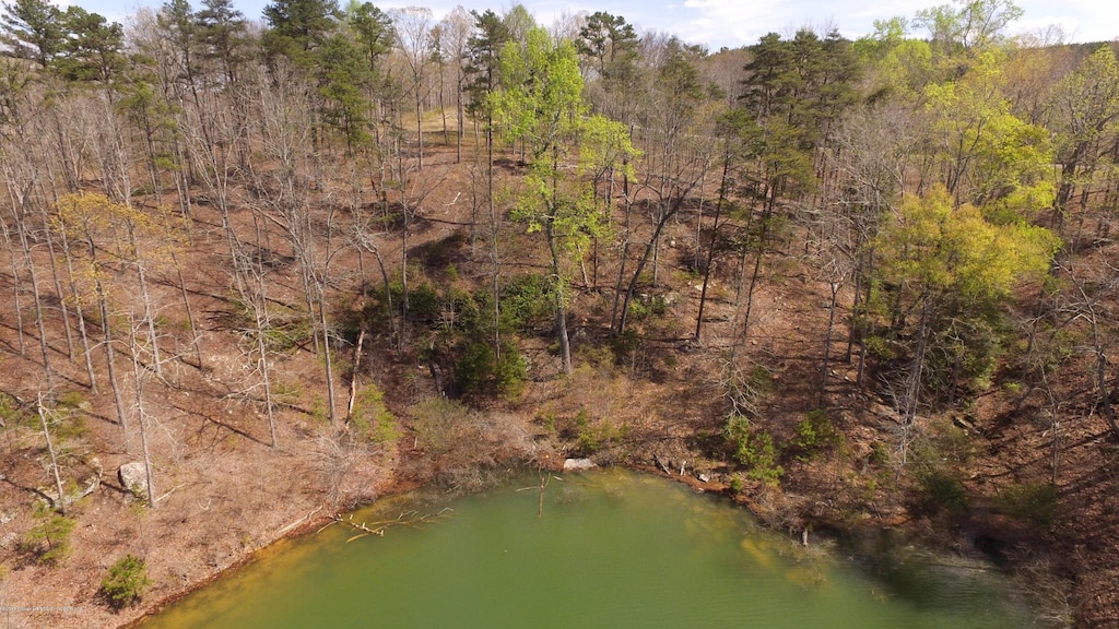 LOT25 Pelican Dr, Arley, AL 35540