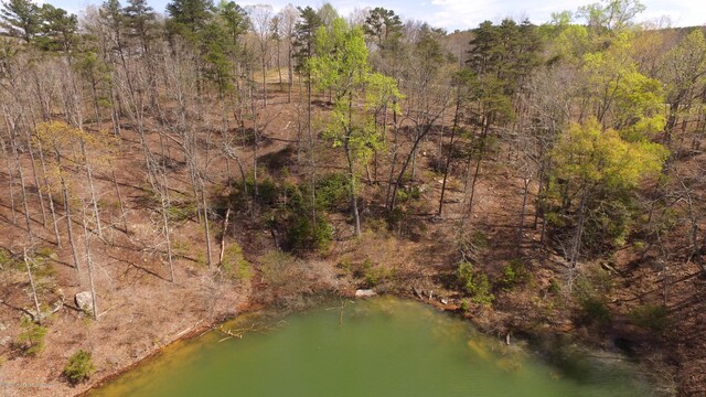 LOT25 Pelican Dr, Arley, AL 35540