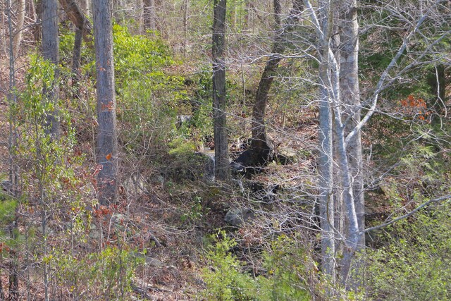 LOT25 Pelican Dr, Arley, AL 35540