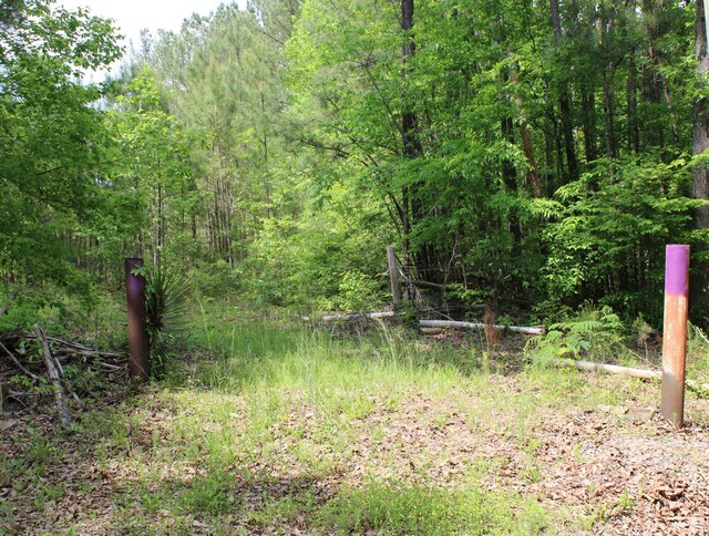 Hatfield Trl, Quinton, AL 35130