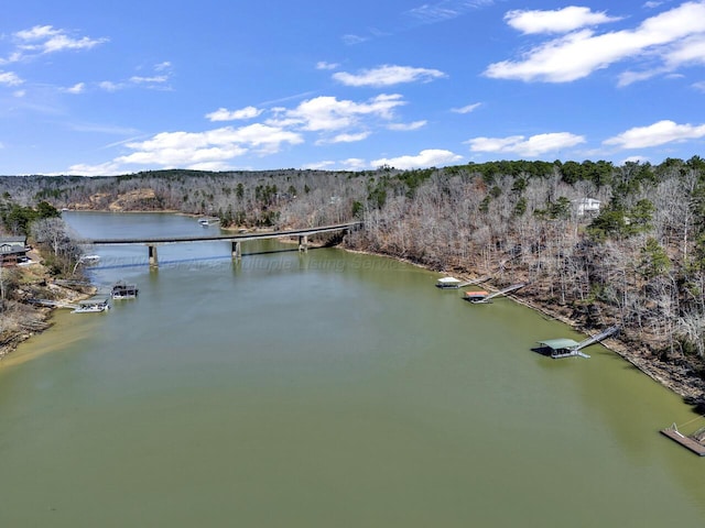 water view with a forest view