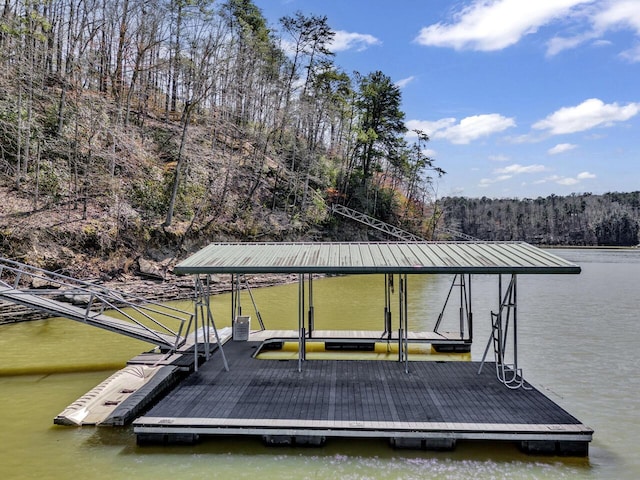 dock area with a water view and a view of trees