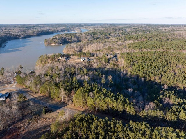 Brushy Creek Main, Arley, AL 35541 - photo 6