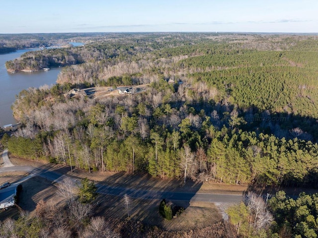 Brushy Creek Main, Arley, AL 35541 - photo 9