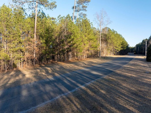 Brushy Creek Main, Arley, AL 35541 - photo 13