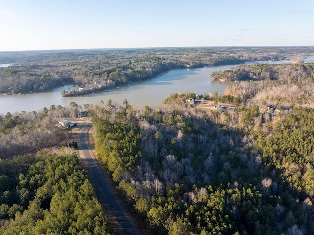Brushy Creek Main, Arley, AL 35541 - photo 7