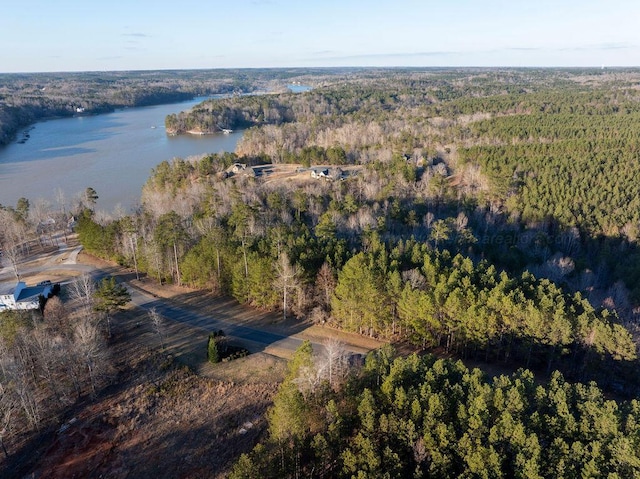 Brushy Creek Main, Arley, AL 35541 - photo 10