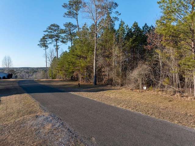 Brushy Creek Main, Arley, AL 35541 - photo 4