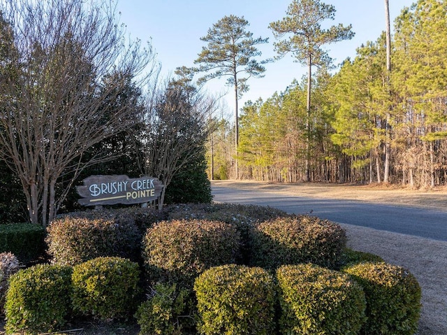 Brushy Creek Main, Arley, AL 35541 - photo 5