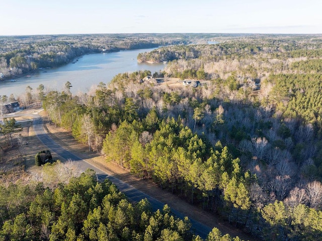 Brushy Creek Main, Arley, AL 35541 - photo 11