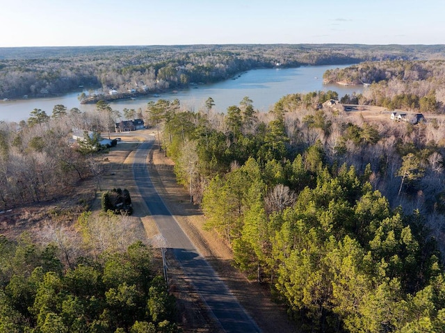 Brushy Creek Main, Arley, AL 35541 - photo 12