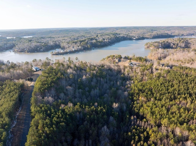 Brushy Creek Main, Arley, AL 35541 - photo 8