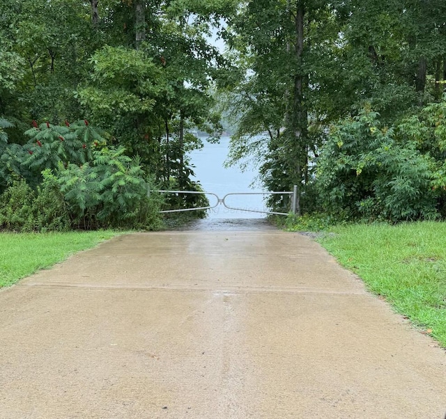 Brushy Creek Main, Arley, AL 35541 - photo 3