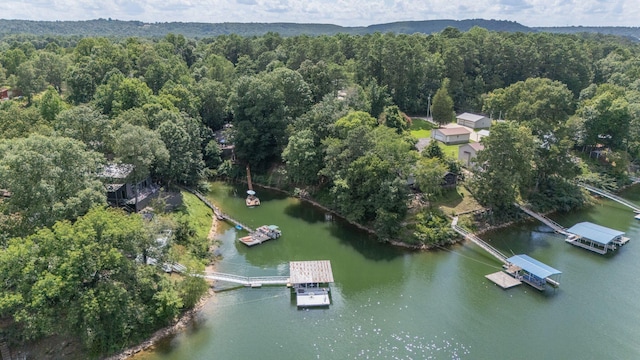 302 County Road 227, Cullman, AL 35057 - photo 4