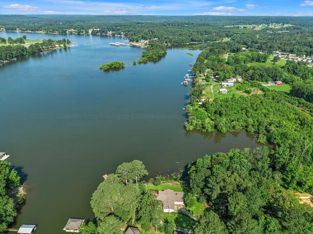 60 County Road 304, Cullman, AL 35057 - aerial overview of property's location with a heavily wooded area and a large body of water