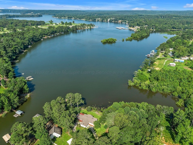 60 County Road 304, Cullman, AL 35057 - aerial view of property's location with a forest and a nearby body of water