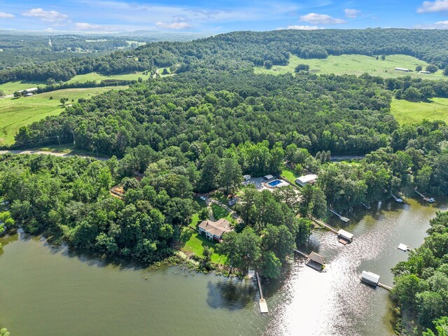 60 County Road 304, Cullman, AL 35057 - aerial view of a forest and a nearby body of water