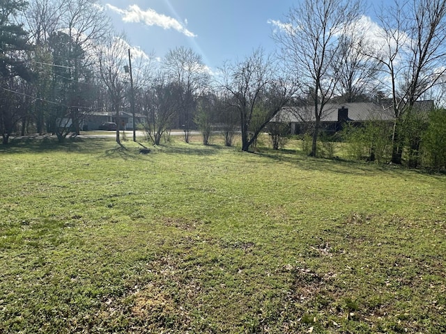 1401 Rutledge Ln, Jasper, AL 35503 - photo 6