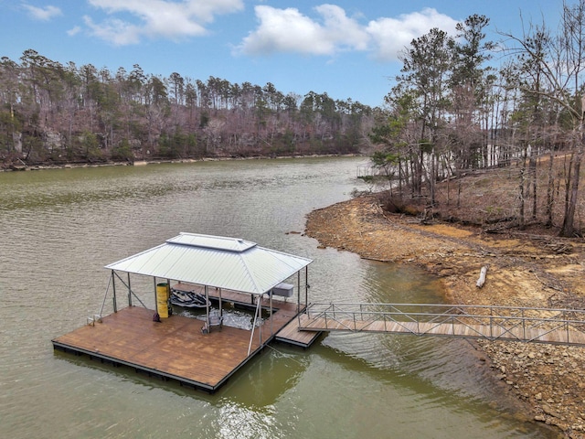 dock area with a water view