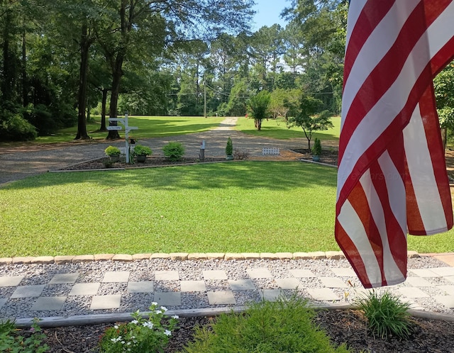 3960 Redmill-Saragossa Rd, Nauvoo, AL 35578 - photo 9