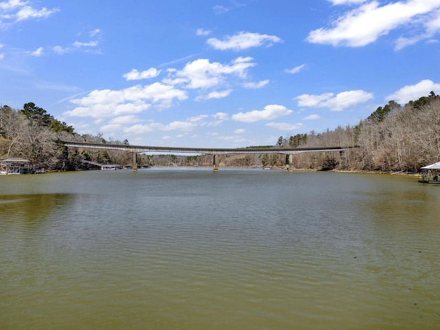 202 County Rd 108, Arley, AL 35541 - photo 24