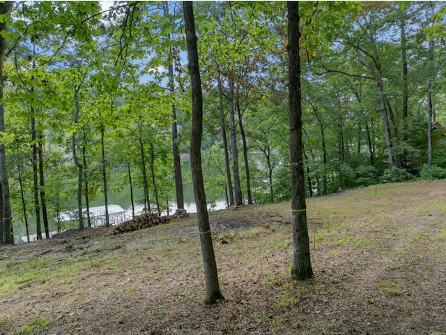 6714 County Road 40, Arley, AL 35541 - photo 3