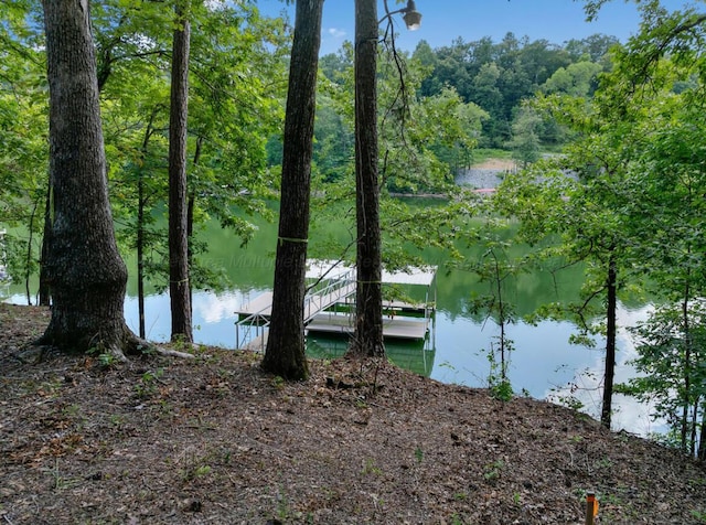 6714 County Road 40, Arley, AL 35541 - photo 1