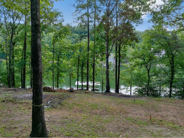 6714 County Road 40, Arley, AL 35541 - photo 2