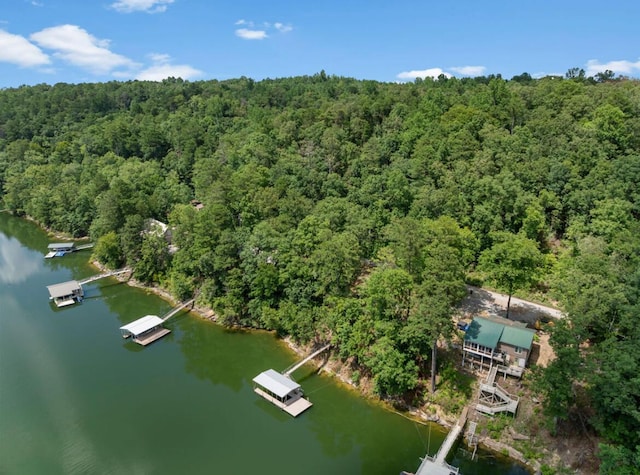 6714 County Road 40, Arley, AL 35541 - photo 8