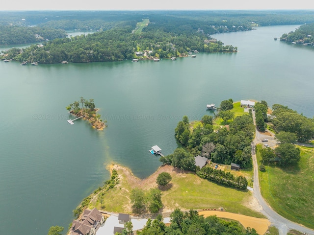 0 County Road 189, Crane Hill, AL 35053 - photo 7