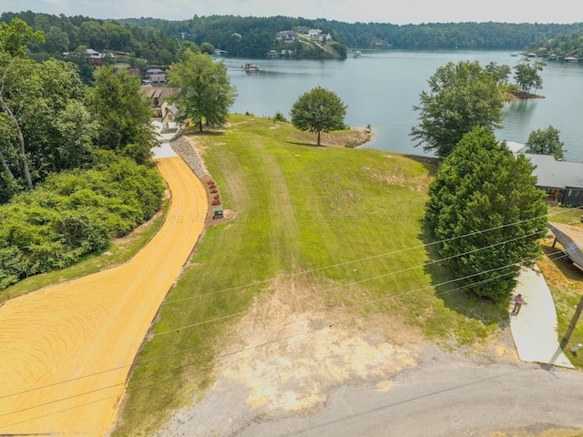 0 County Road 189, Crane Hill, AL 35053 - photo 4