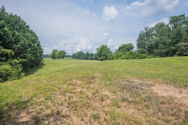 0 County Road 189, Crane Hill, AL 35053 - photo 21