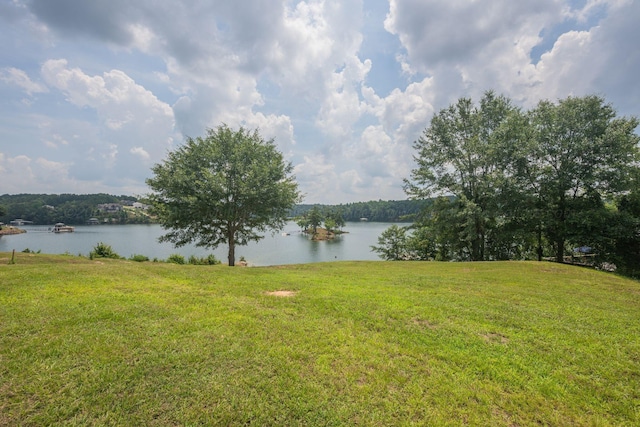 0 County Road 189, Crane Hill, AL 35053 - photo 19
